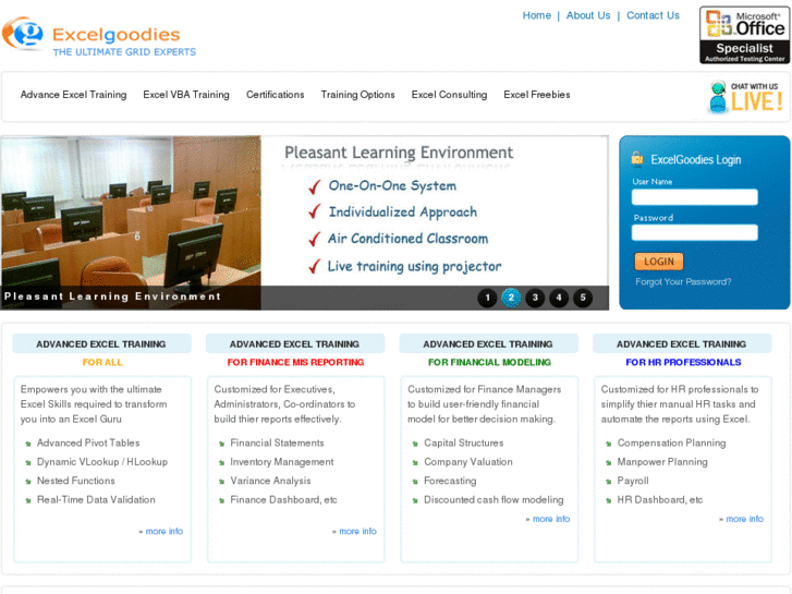 www.excelgoodies.com