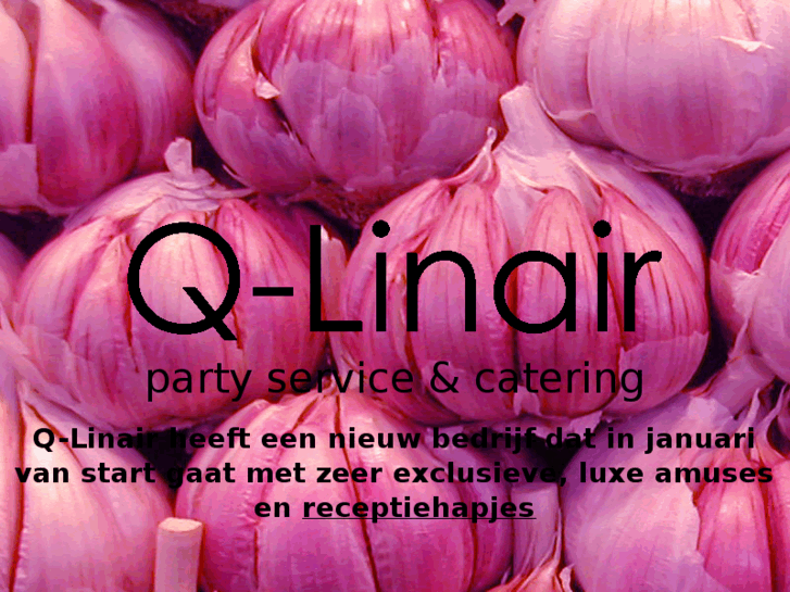 www.q-linair.net