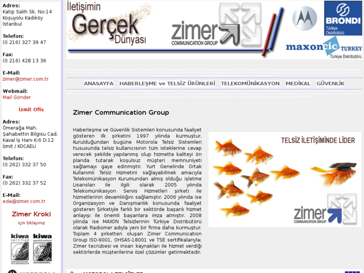 www.zimer.info