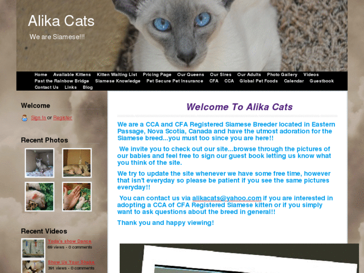 www.alikacats.com