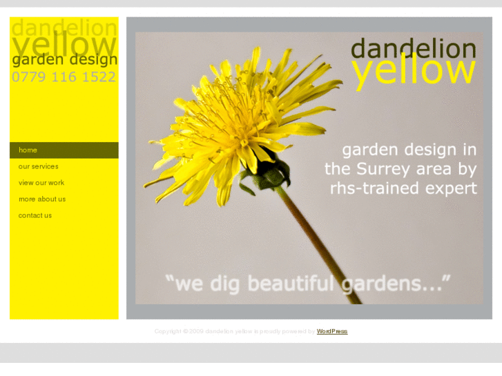 www.dandelionyellow.com