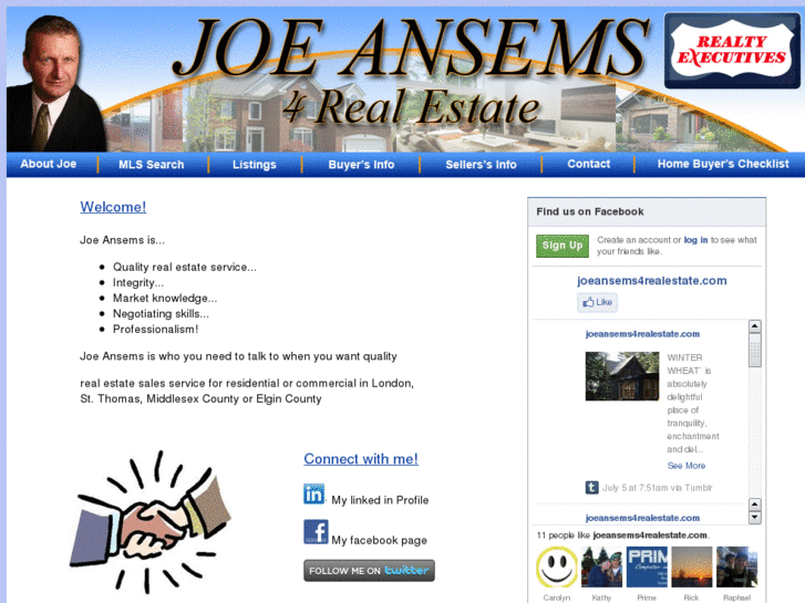 www.joeansems4realestate.com