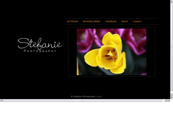 www.stefaniephotography.com