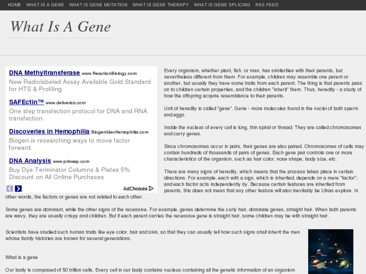 www.whatisagene.com