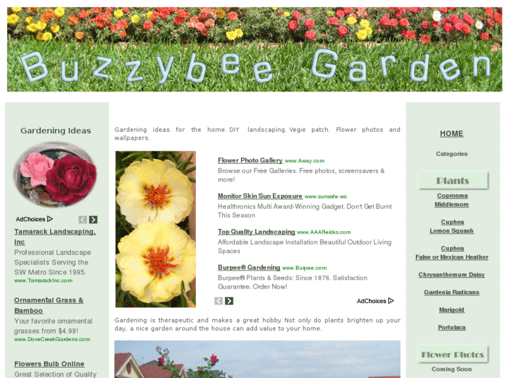 www.buzzybeegarden.com