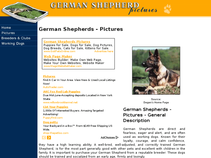 www.german-shepherds-pictures.com