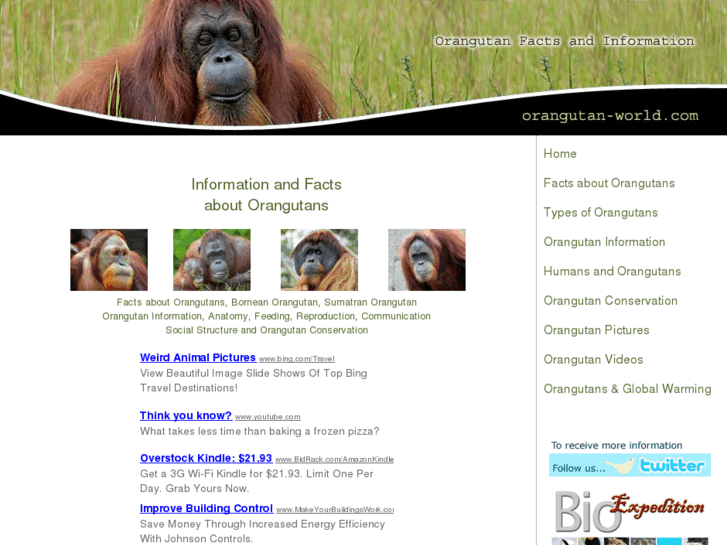 www.orangutan-world.com