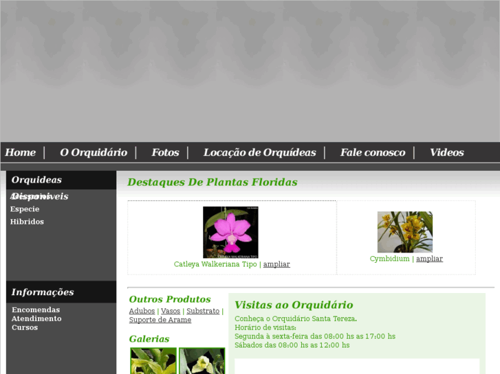 www.orquidariosantatereza.com