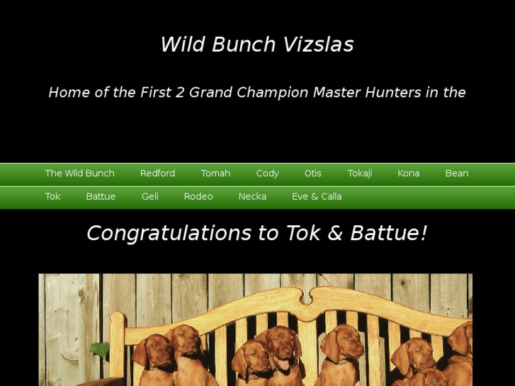 www.wildbunchvizslas.com