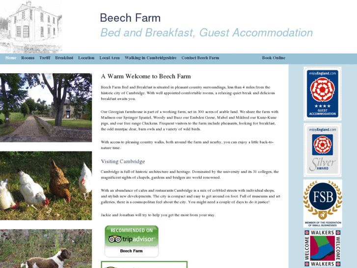 www.beechfarmcambridge.com