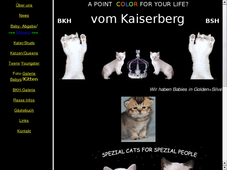 www.bkh-katzen.net