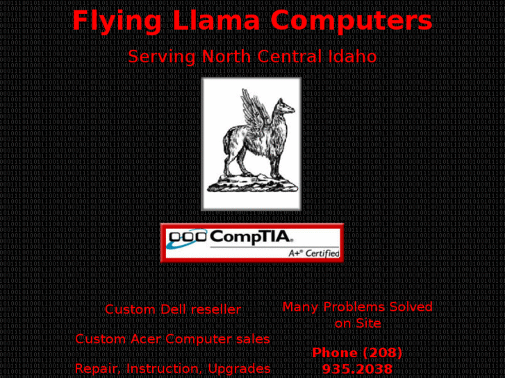 www.flyingllamacomputers.com