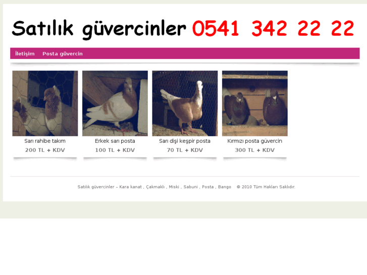 www.satilikguvercinler.com