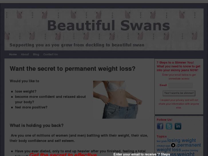 www.beautifulswans.com