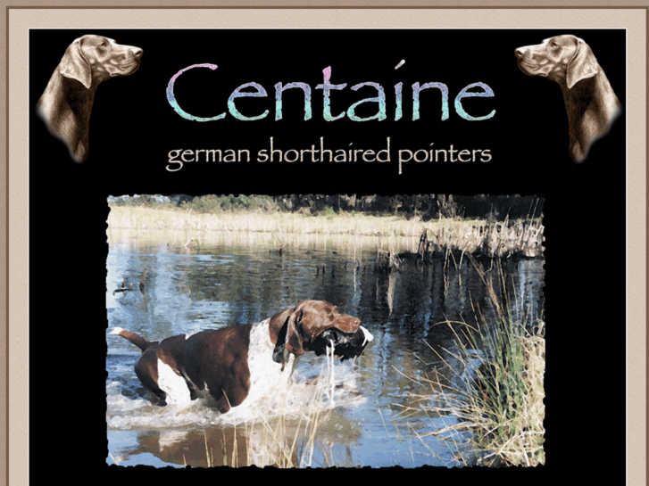 www.centainegsp.com