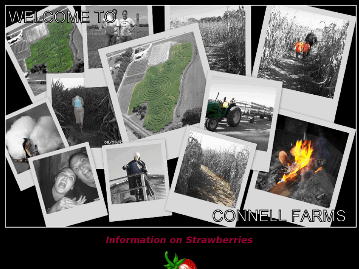 www.connellfarms.com