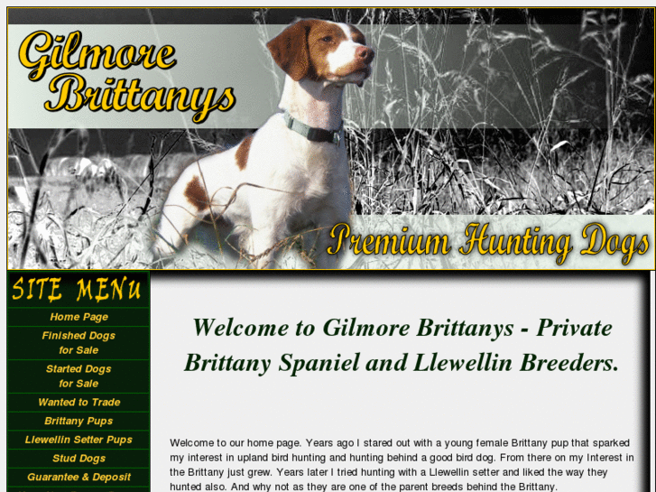 www.gilmorebrittanys.com