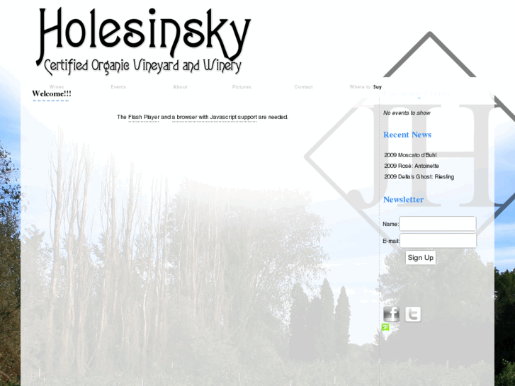 www.holesinsky.com