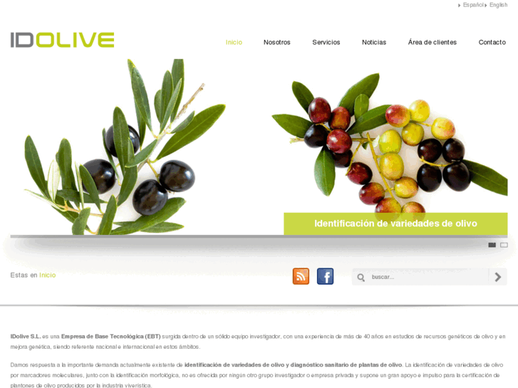 www.idolive.es