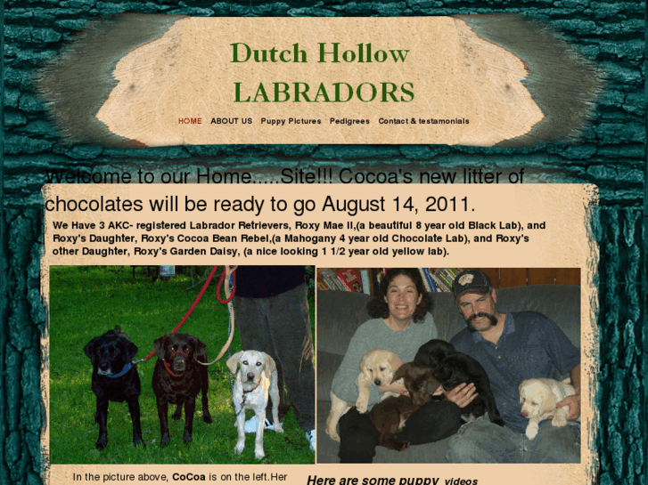 www.dutchhollowlabradors.com