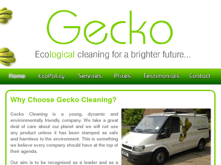 www.geckocleaning.com