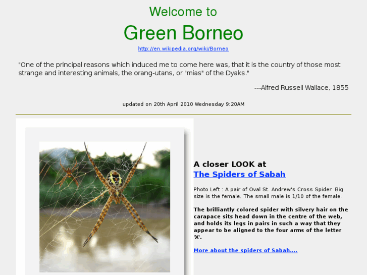 www.greenborneo.net