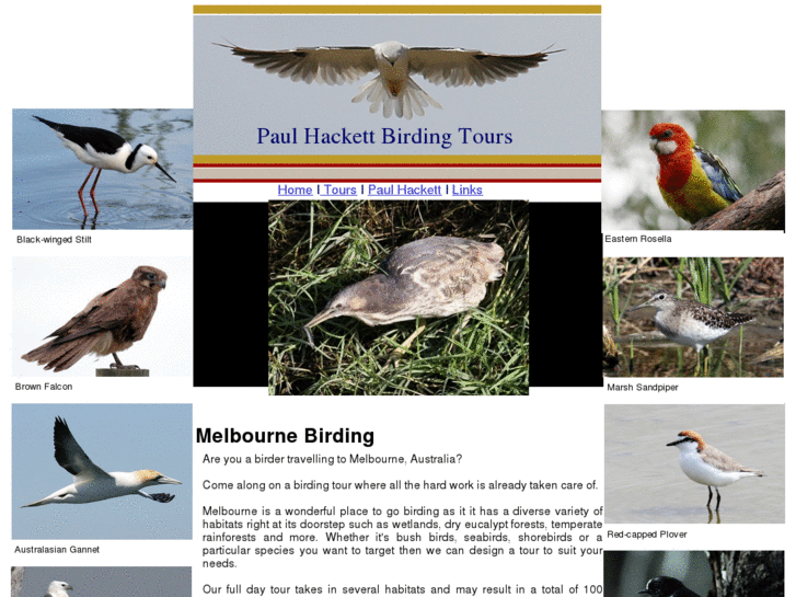 www.melbournebirding.com