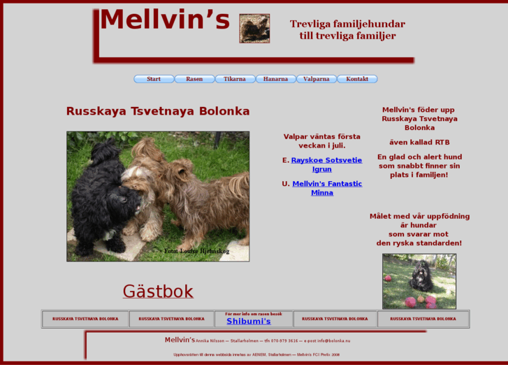 www.mellvins.com