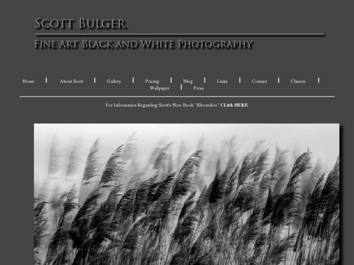 www.scottbulger.com