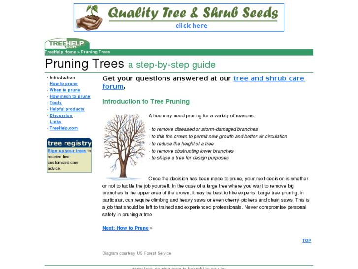 www.tree-pruning.com