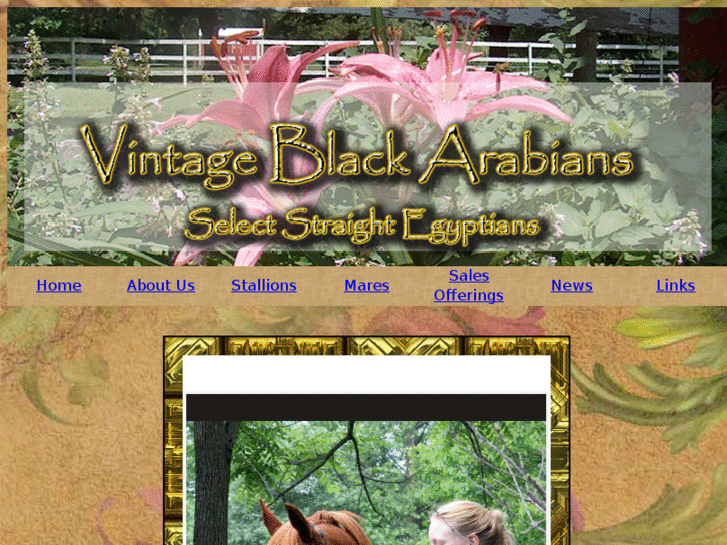 www.vintageblackarabians.com