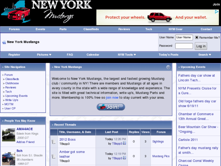 www.albanystangs.com