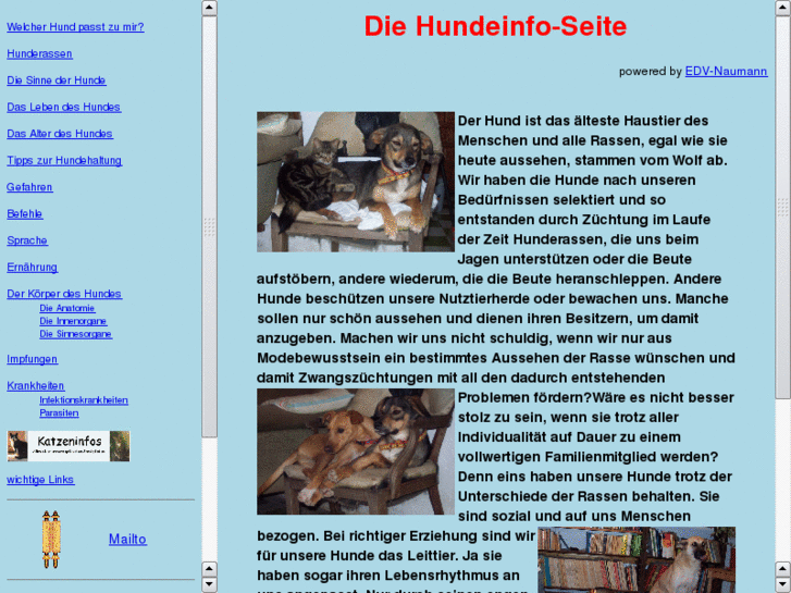 www.hundetrupp.com