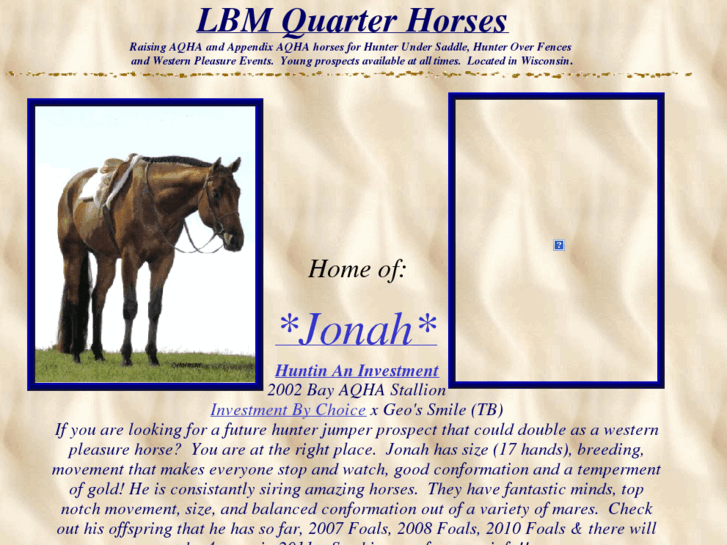 www.lbmquarterhorses.com