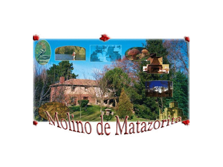 www.molinomatazorita.com