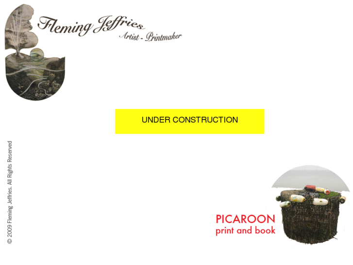 www.picaroonprojects.com
