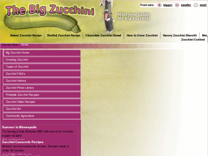 www.bigzucchini.com