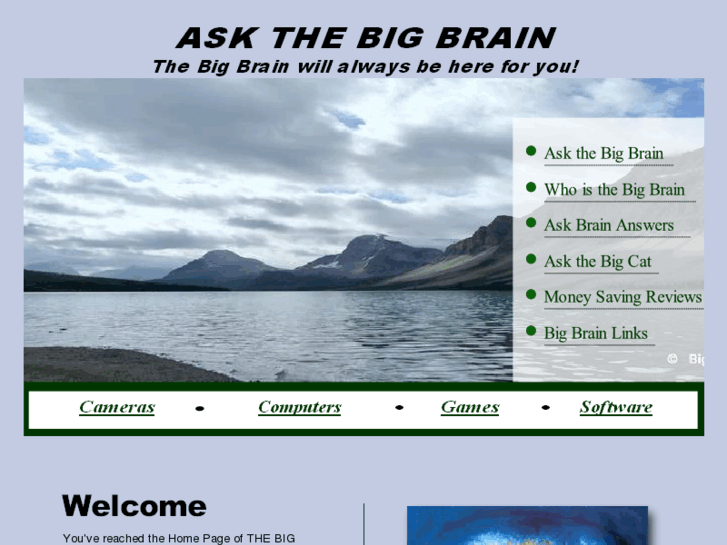www.askthebigbrain.com