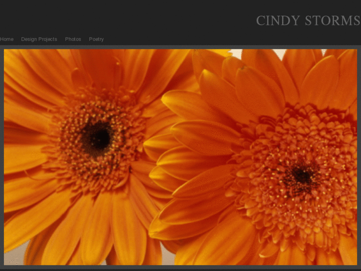 www.cindystorms.com