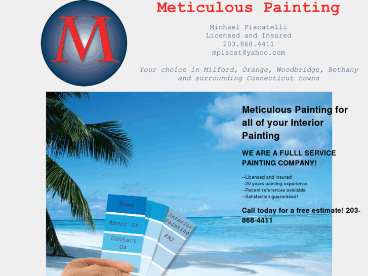 www.ctmeticulouspainting.com