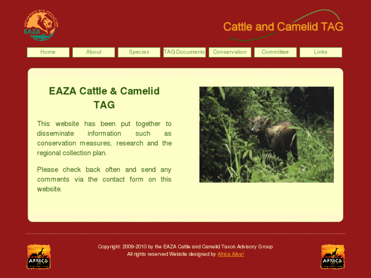 www.eazacattleandcamelidtag.org