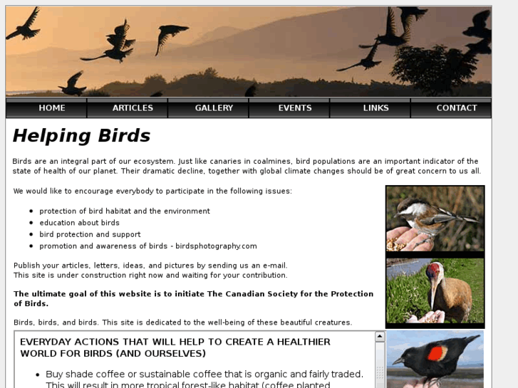 www.helpingbirds.com