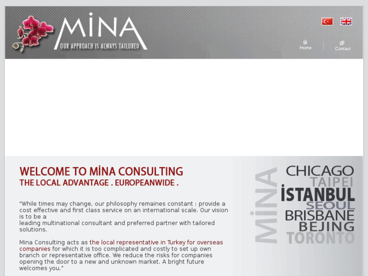 www.minaconsulting.com