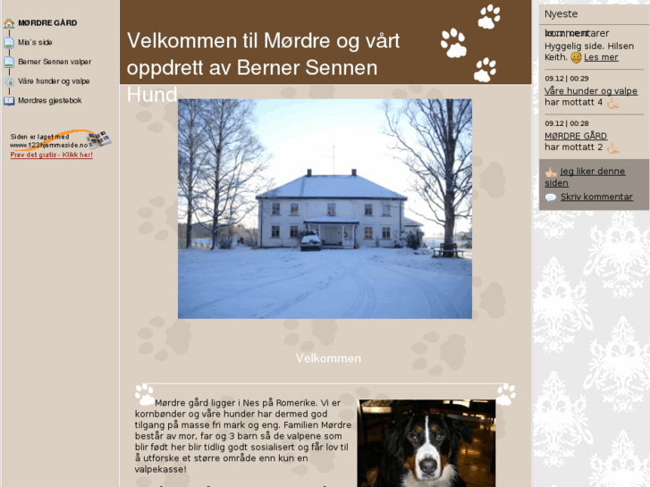 www.mordre-bernersennenhund.net