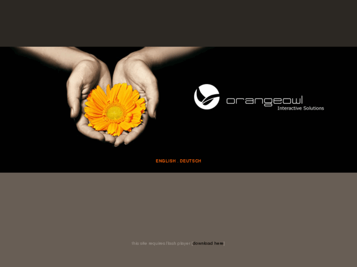 www.orangeowl.com