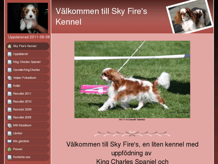 www.skyfireskennel.se