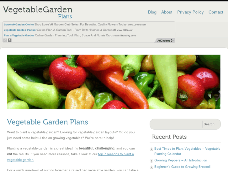 www.evegetablegardenplans.com