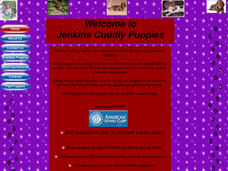 www.jenkinscuddlypuppies.com