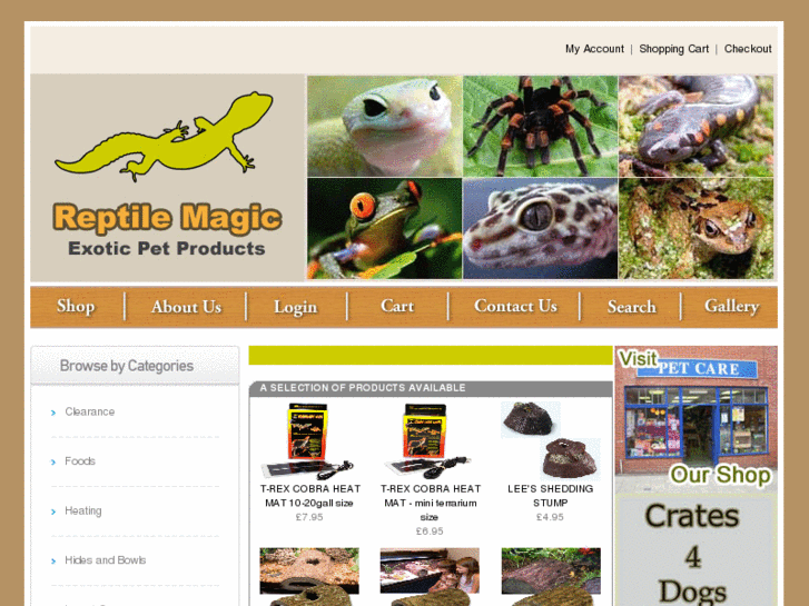 www.reptilemagic.com