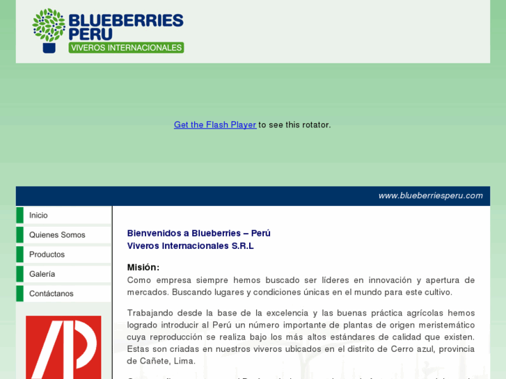 www.blueberriesperu.com